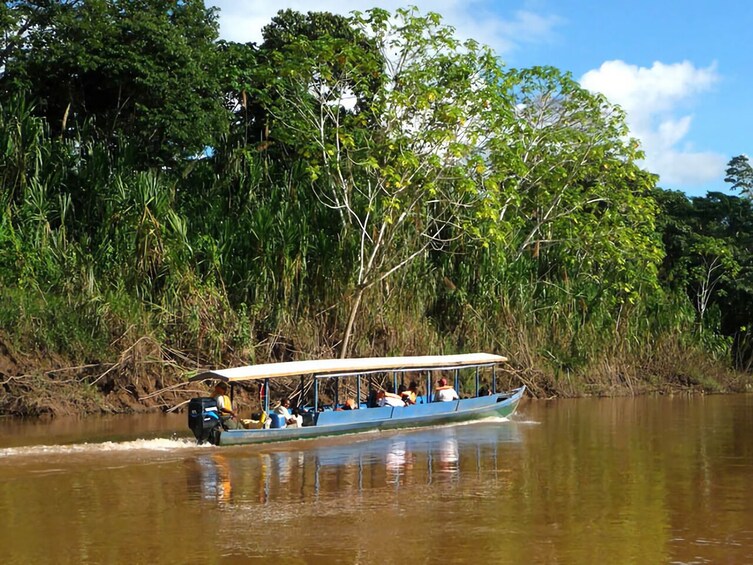 Tambopata National Reserve: Jungle and Adventure