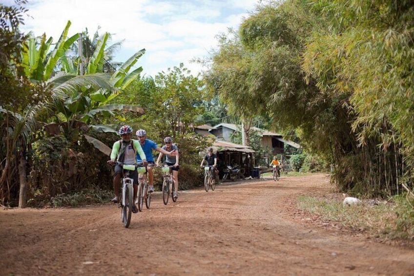 Local Livelihood Half Day Bike Tour in Battambang