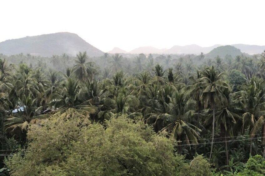 Tuk-Tuk full day tour BambooTrain , bat cave,local lifestyle test local food