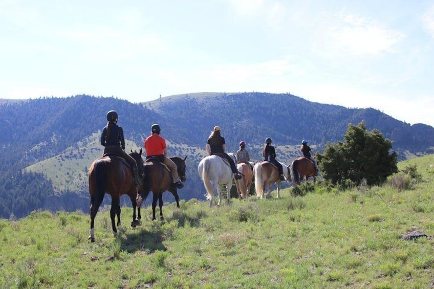 Guided Horseback Trek through Blue Flower Trail 