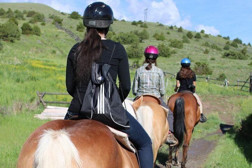 Guided Horseback Trek through Blue Flower Trail 