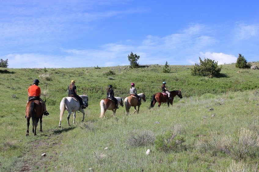 Guided Horseback Trek through Blue Flower Trail