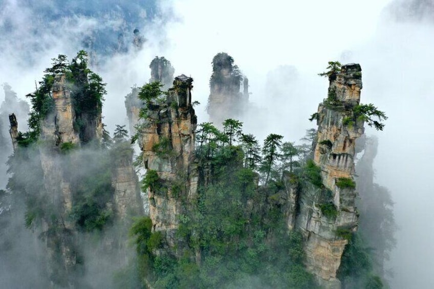 2 Full Days Classic Tour to AVATAR Mountain & Tianmen Mountain 