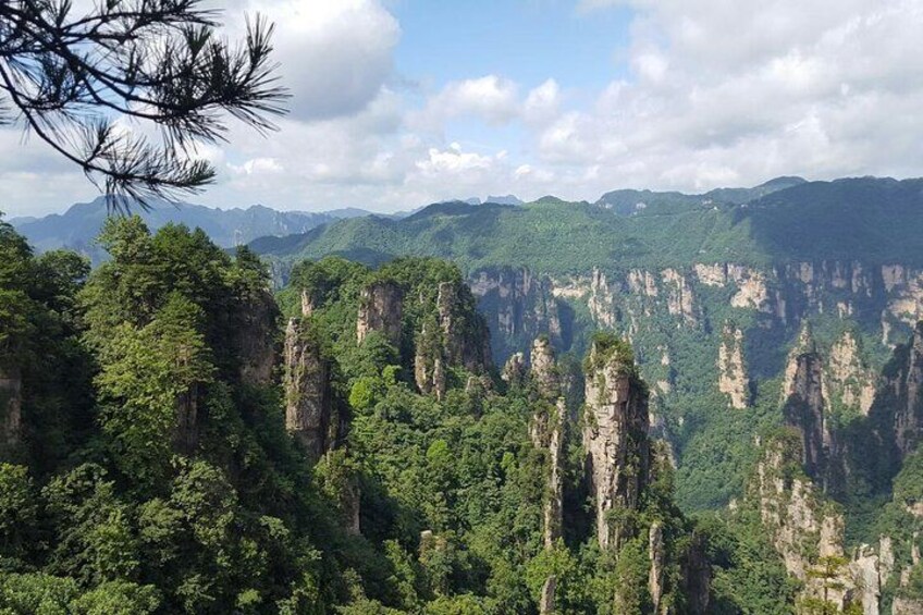 Zhangjiajie national forest park tours