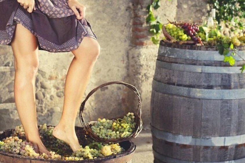 grape stomping