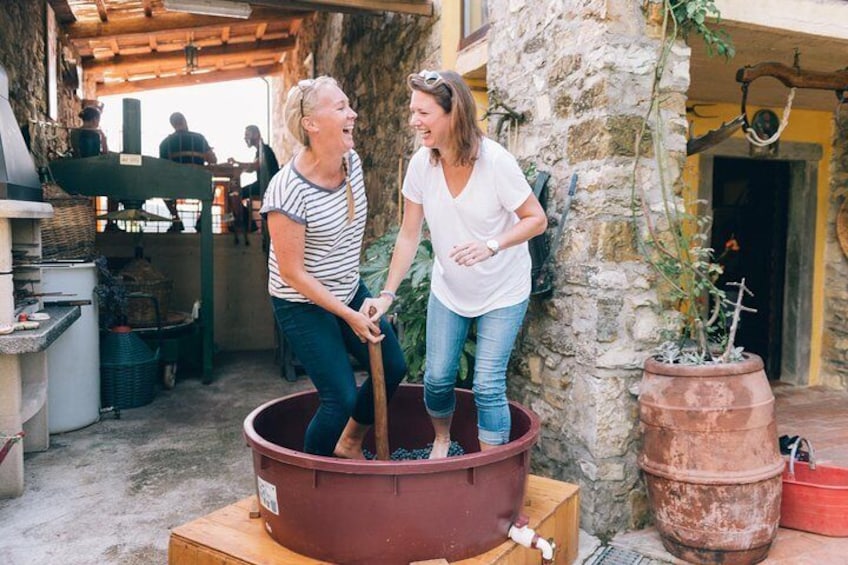 Grape stomping in Tuscan farmhouse from Florence