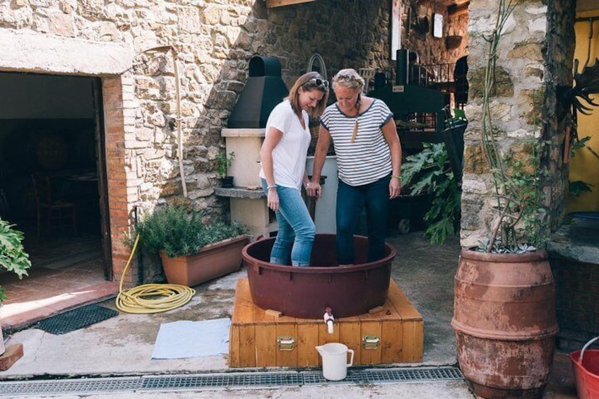 Grape stomping in Tuscan farmhouse from Florence