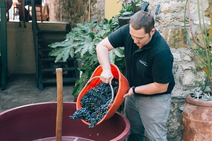 Grape stomping in Tuscan farmhouse from Florence