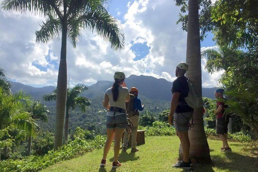 Yunque Rainforest Ziplining