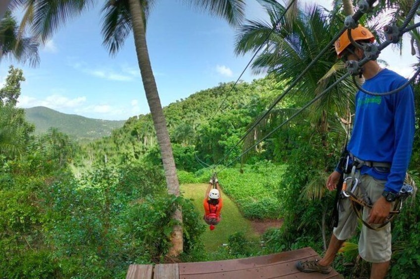 Yunque Rainforest Ziplining