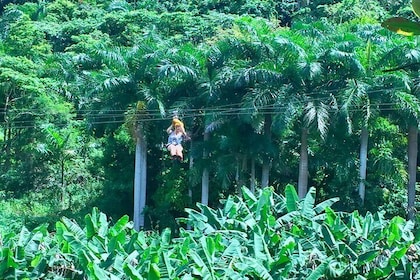 Yunque Rainforest Ziplining