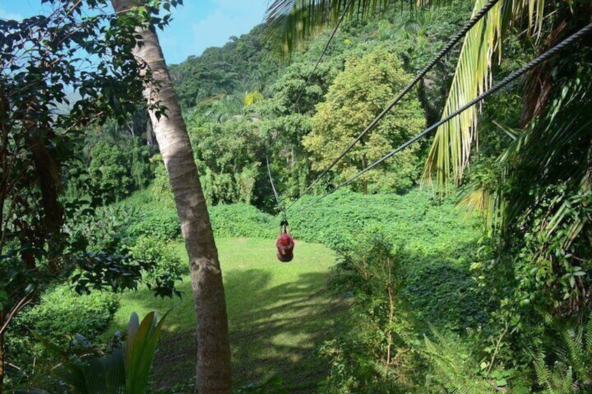 EcoRainforest Ziplining in Puerto Rico