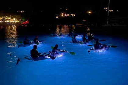 Recorrido nocturno en kayak en Santo Tomás.