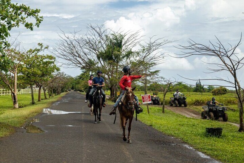 Horseback Riding Tour at Private Ranch