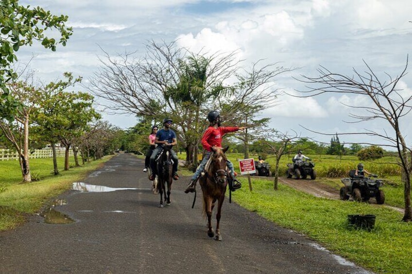 Horseback Riding Tour at Private Ranch