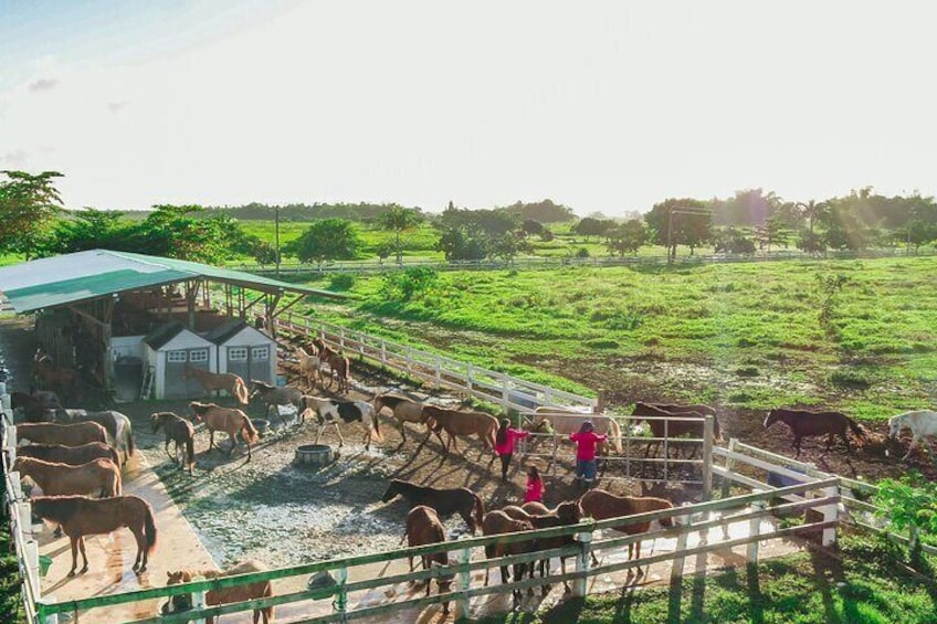 Horseback Riding Tour at Private Ranch