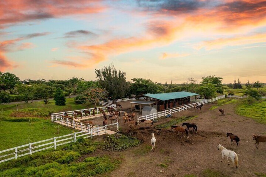 Horseback Riding Tour at Private Ranch