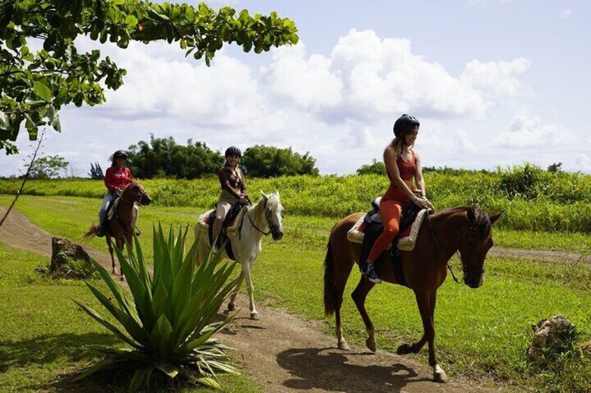 Private Ranch Horseback Tour in Carolina, Puerto Rico