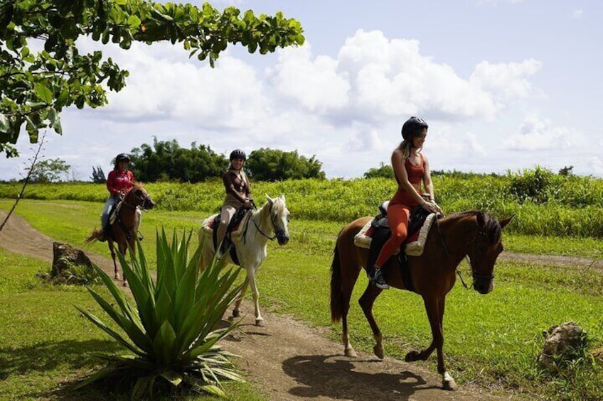 Private Ranch Horseback Tour in Carolina, Puerto Rico