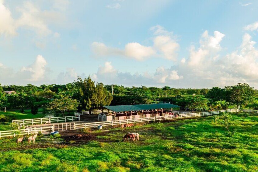 Horseback Riding Tour at Private Ranch