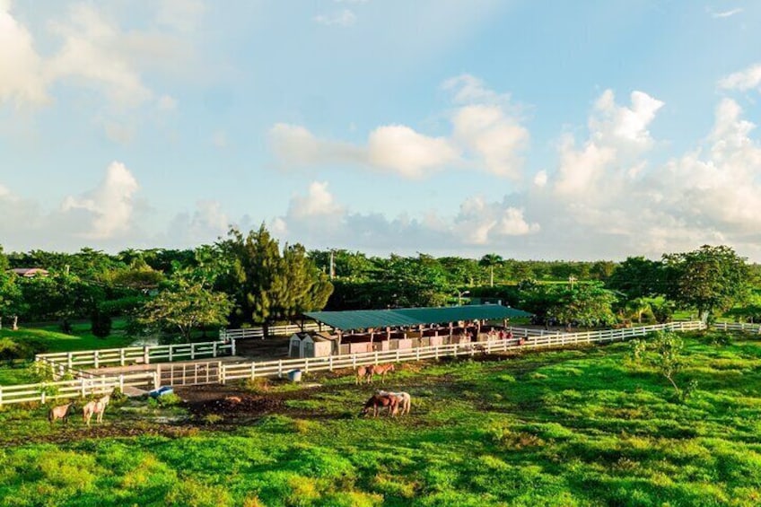 Horseback Riding Tour at Private Ranch