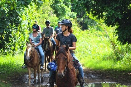 Horseback Riding Tour in Carolina