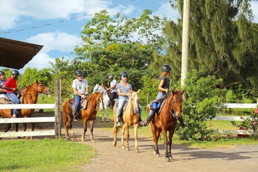 Horseback Riding Tour in Carolina