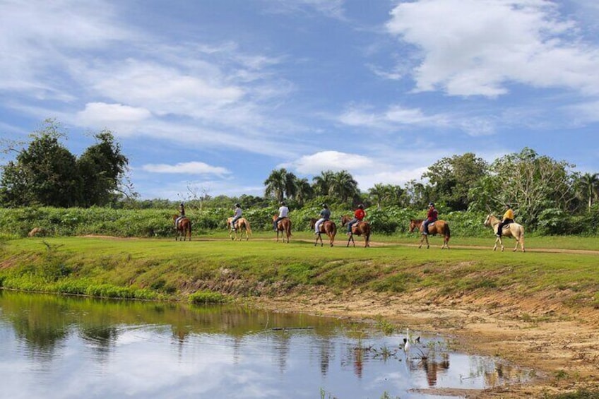 Horseback Riding Tour in Carolina