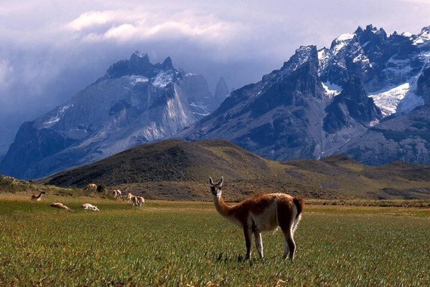 Torres del Paine National Park