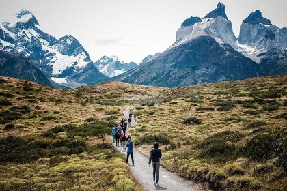 From El Calafate: Full-Day Tour to Torres del Paine