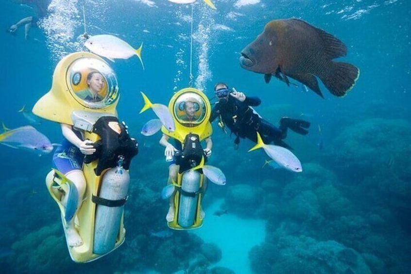 Punta Cana Experience: Scuba Diving, Scooter, Panoramic Glass Boat and Snorkel
