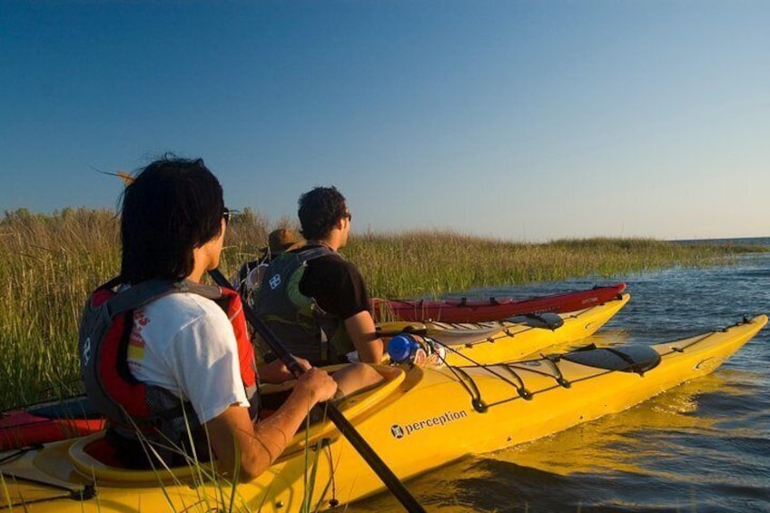 Quality Kayaks & Equipment