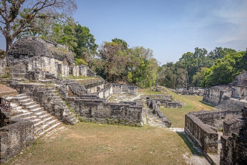 Day Trip to Tikal Maya Ruins Including Lunch