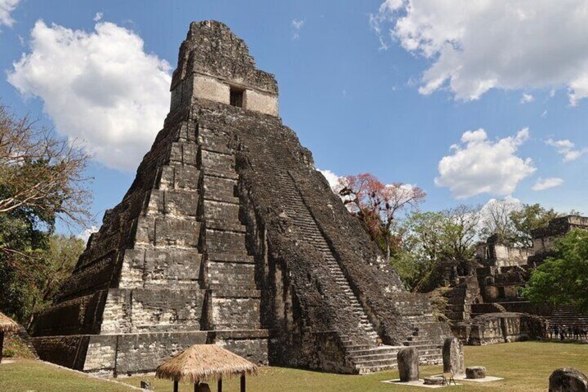 Day Trip to Tikal Maya Ruins Including Lunch