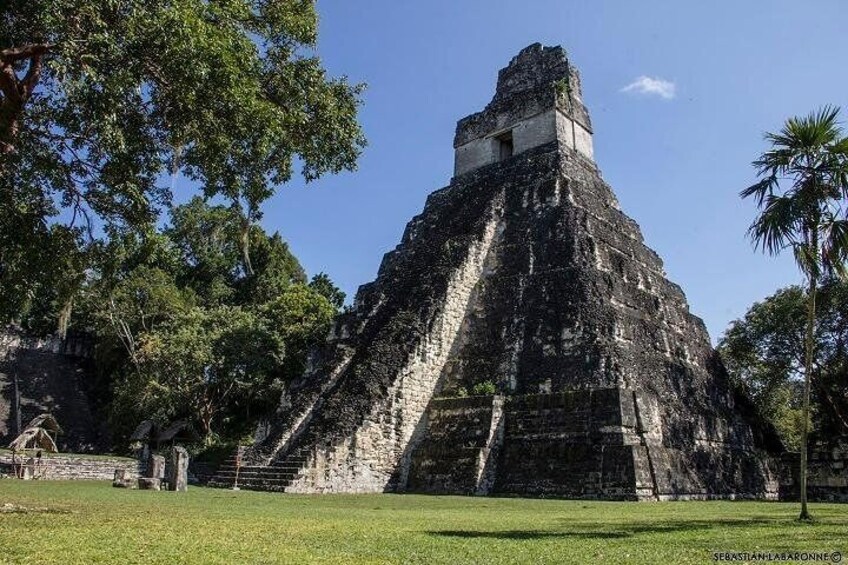 Magnificent temples at Tikal