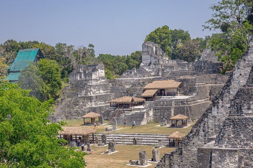 Day Trip to Tikal Maya Ruins Including Lunch