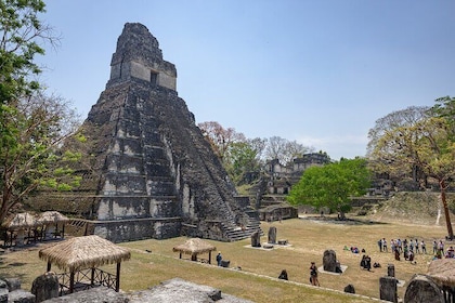 Excursión de un día a las ruinas mayas de Tikal, incluido el almuerzo