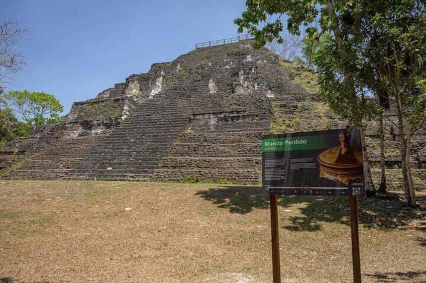 Day Trip to Tikal Maya Ruins Including Lunch