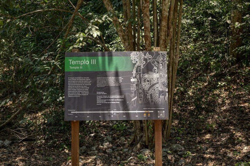 Day Trip to Tikal Maya Ruins Including Lunch