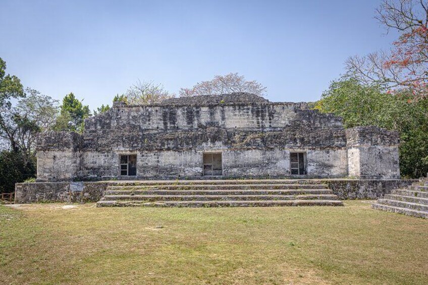 Day Trip to Tikal Maya Ruins Including Lunch