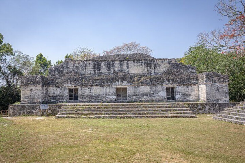 Day Trip to Tikal Maya Ruins Including Lunch