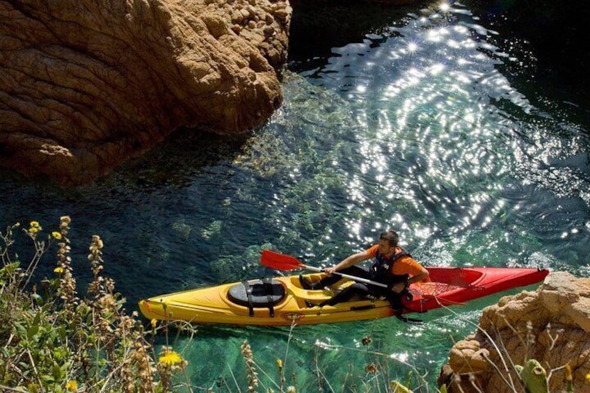 coves in the kayaking tour