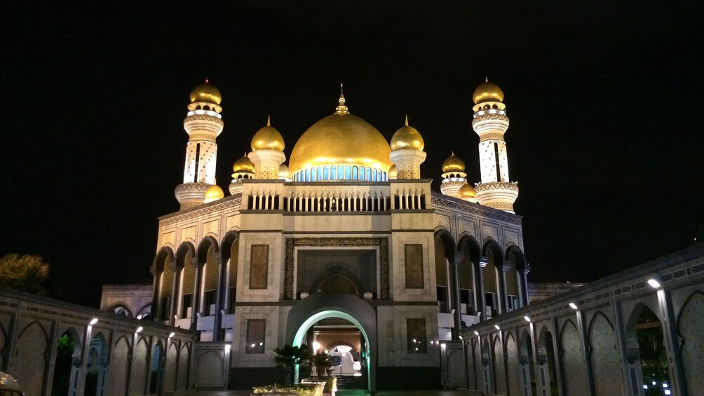 Show item 3 of 5. Beautiful close up view of the Istana Nurul Iman
