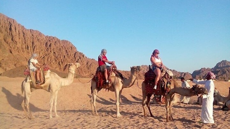 super safari 5x1 sharm elsheikh camel ride,show,motor quad ,bedouin dinner & star gazing