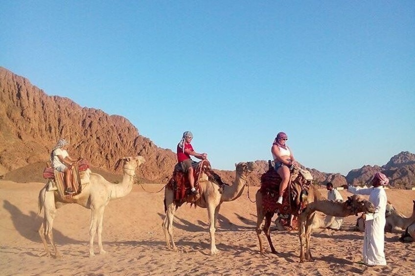 super safari 5x1 sharm elsheikh camel ride,show,motor quad ,bedouin dinner & star gazing 