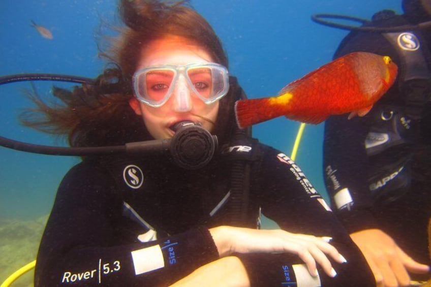 scuba diving alanya