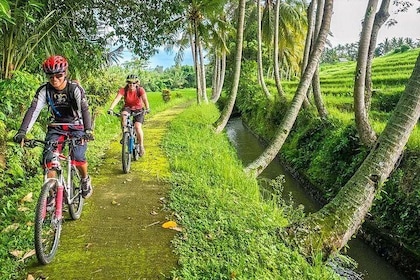 Bali Downhill Cycling and White Water Rafting