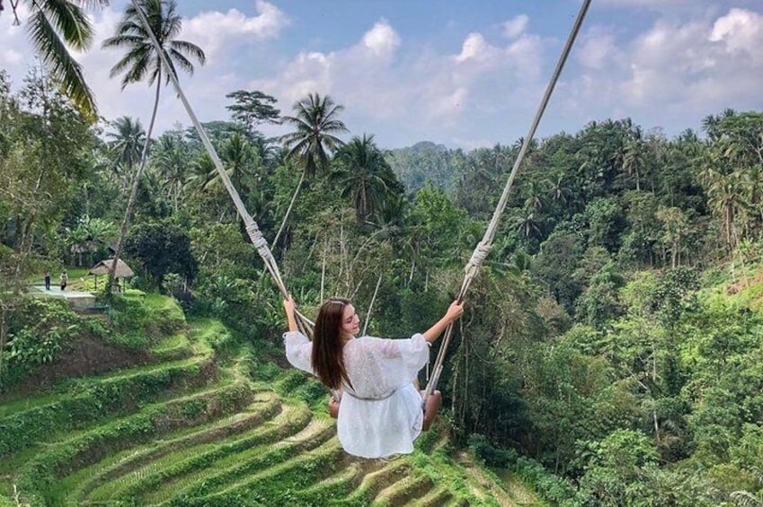 Free Wi- Fi - Ubud Jungle Swing - Monkey Forest - Water Temple - Waterfall