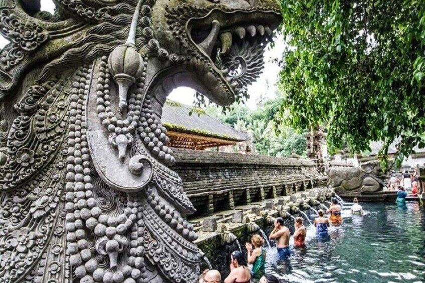 Ubud tour Best Of Ubud All Inclusive