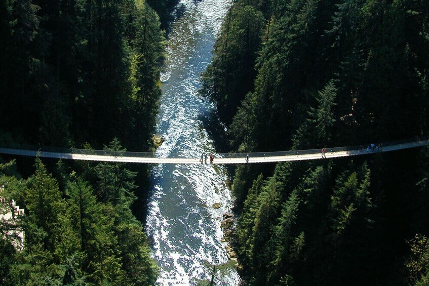Show item 1 of 6. Capilano Suspension Bridge Private Tour